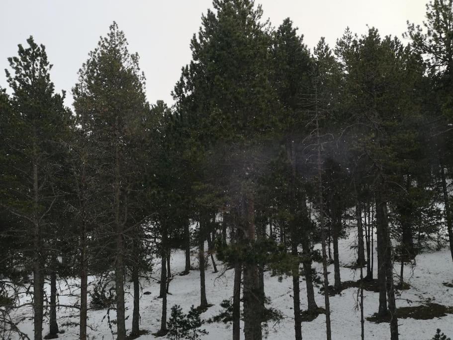 La Coma I La Pedra Apartamento A 200 Metros De Port Del Comte Ski المظهر الخارجي الصورة